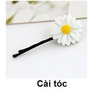 Set 2 gim hoa cúc