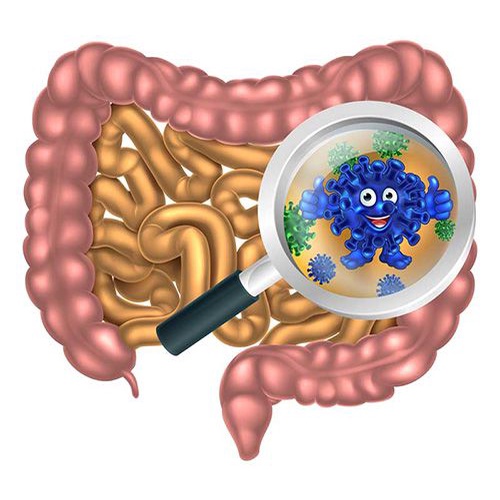 BIFINA NHẬT BẢN - Hội Chứng Ruột Kích Thích - Đau Đại Tràng Co Thắt - Loại S hộp 30 gói