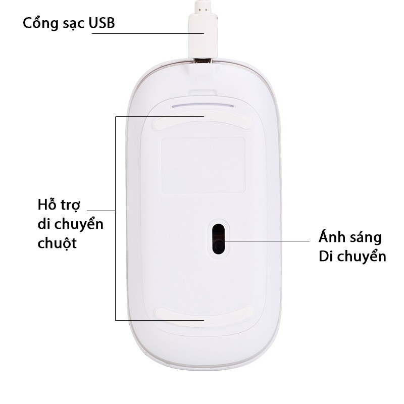 Chuột không dây 2.4G không âm thanh gây ồn, tích hợp pin sạc, thích hợp chuột văn phòng kiểu dáng mac book