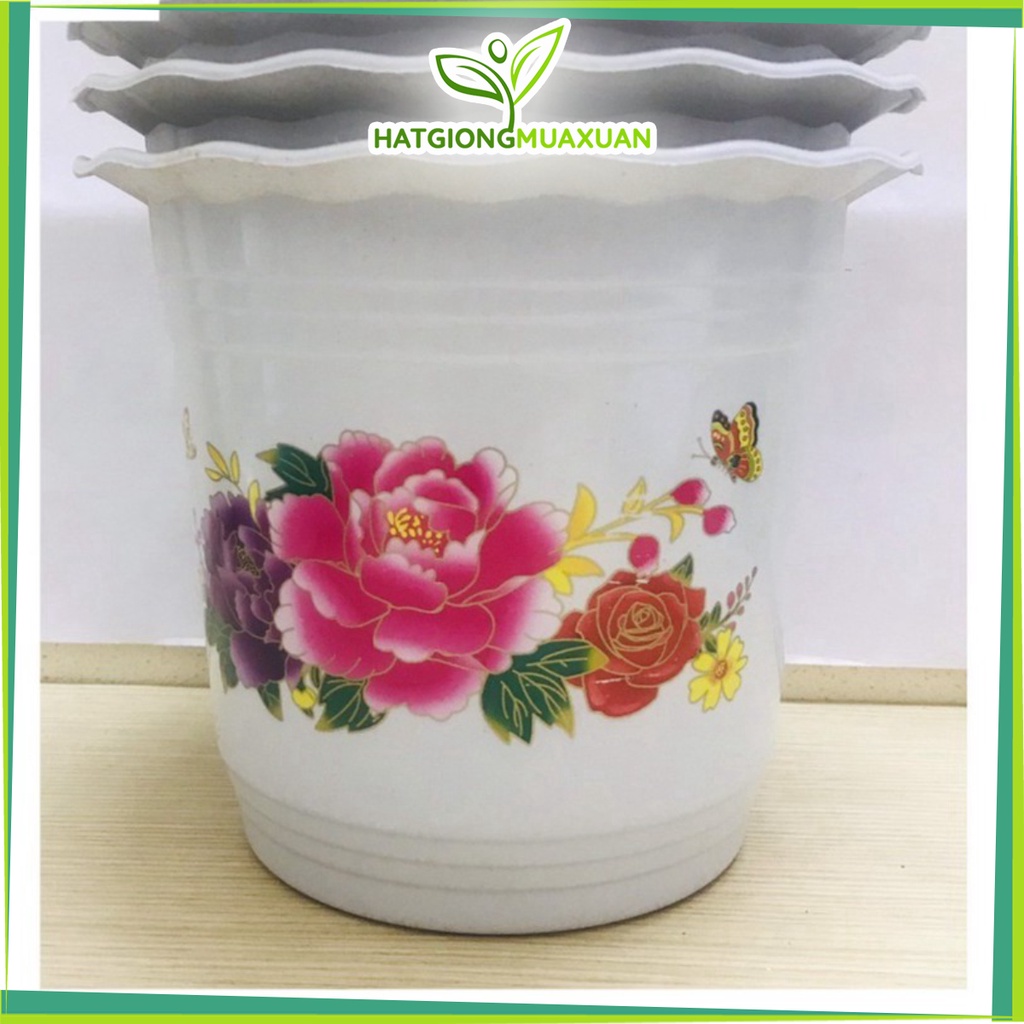 SET 5 Chậu Nhựa Trồng Hoa,Cây Cảnh hình tròn viền sóng
