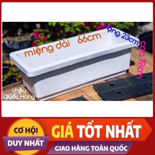 chậu nhựa dài,máng khay trồng rau,nuôi cá loại kích thước lớn