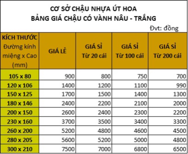 Combo 100 chậu N12 (120 x 106)