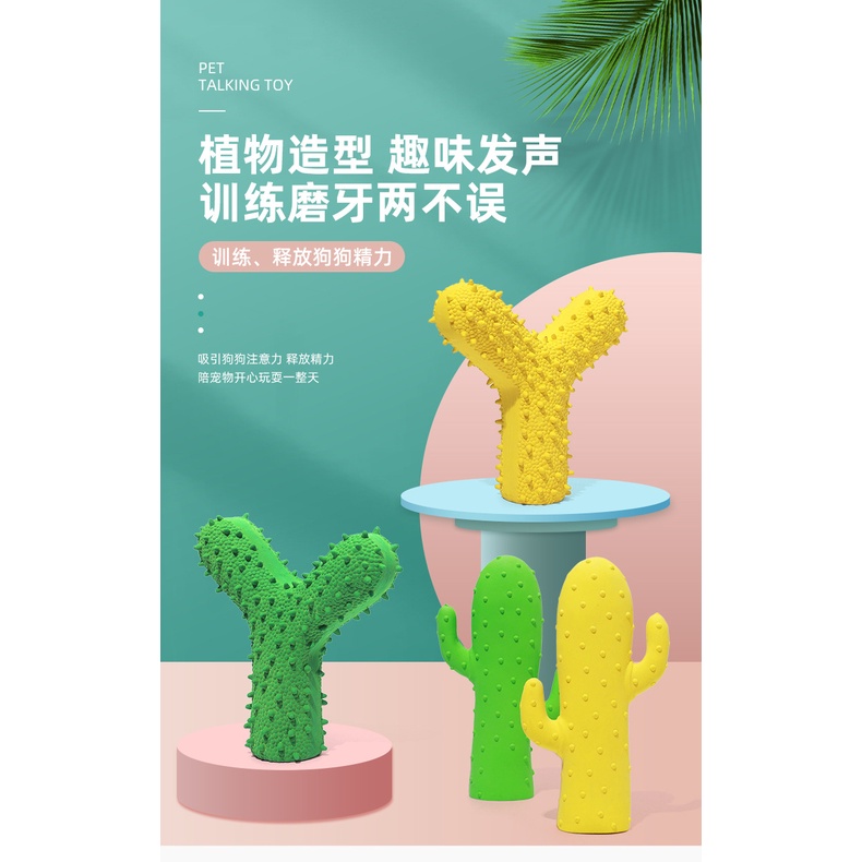 đô chơi nhựa xương rồng / chữ Y chống ngứa răng cho chó