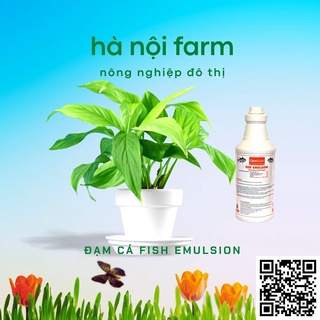 Phân bón hữu cơ fish emulsion - Đạm cá phú hảo chai 250ml