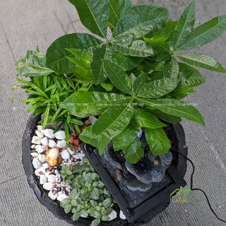 Thác nước tiểu cảnh – Ghềnh Thác