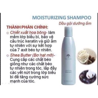 Dầu gội chăm sóc tóc SHAMPOO