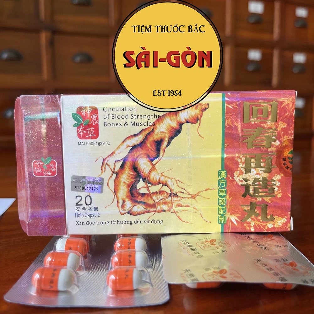 Nhân Sâm Hồi Sinh Tái Tạo Hoàn Malaysia Hộp 20 viên (Hỗ trợ cơ xương khớp)