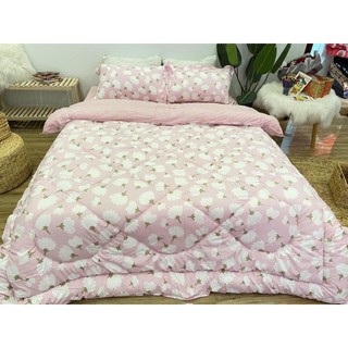 Set chăn ga gối cotton poly nhập khẩu