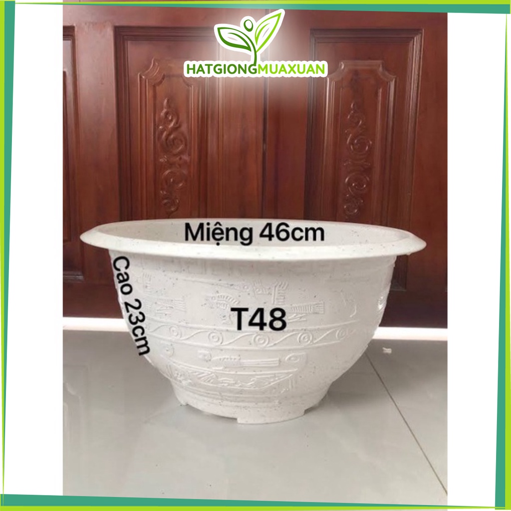 10 Chậu nhựa T48 đk 46cm cao 23cm màu trắng