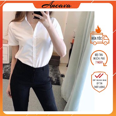 Áo sơ mi nữ tay cộc 4 màu - 4 Size