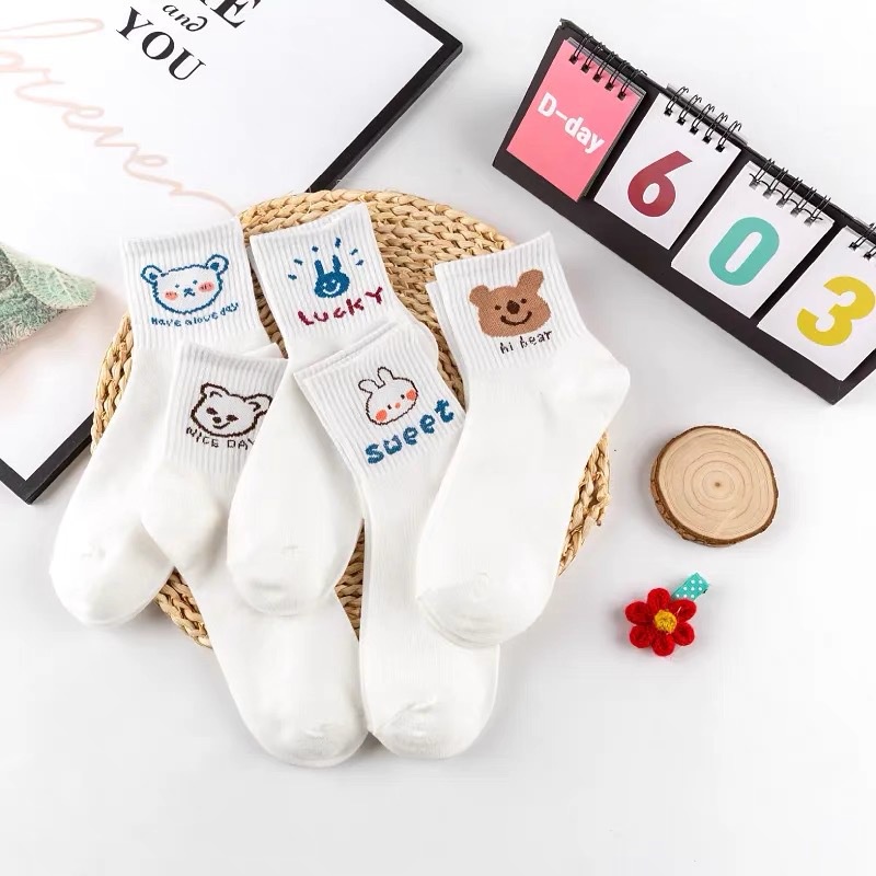 Tất Nữ Cao Cổ Hàn Quốc Họa Tiết Gấu Cute Dễ Thương Trắng Sỉ Giá Rẻ Set 10 Đôi Chất Dày Dặn Vải TVHUNA1