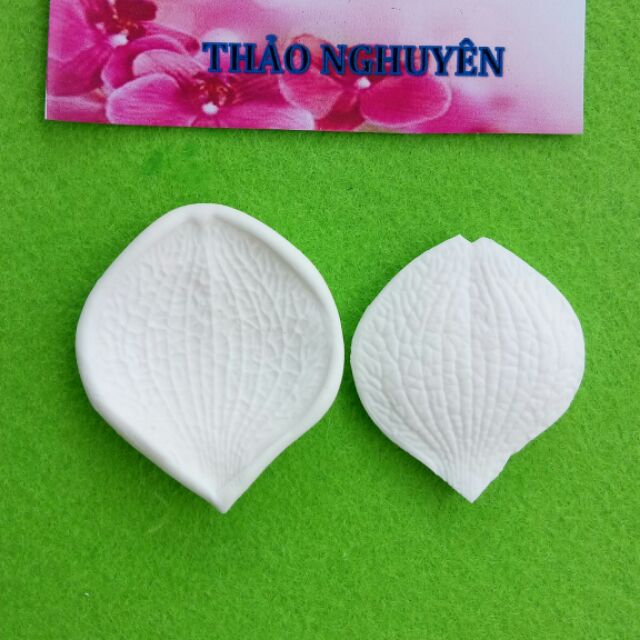 Gân hoa tú cầu