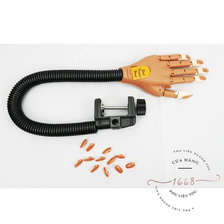 BÀN TAY GIẢ CÓ KHỚP HỌC NGHỀ NAIL