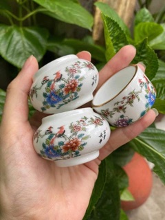 Cóng sứ mào loại đẹp