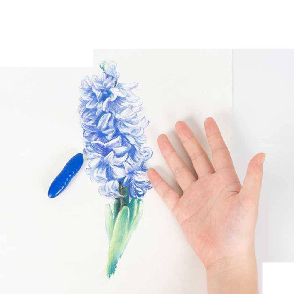 Bút Màu Vẽ Tranh Sơn Dầu Thân Thiện Với Môi Trường Chống Trượt Bền Bỉ