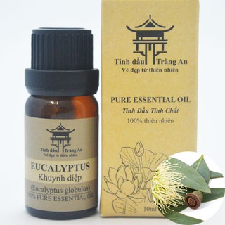 Tinh Dầu Khuynh Diệp Eucalyptus | 100% Thiên Nhiên Nguyên Chất | Khử Mùi, Thơm Phòng, Giảm Stress - TINH DẦU TRÀNG AN