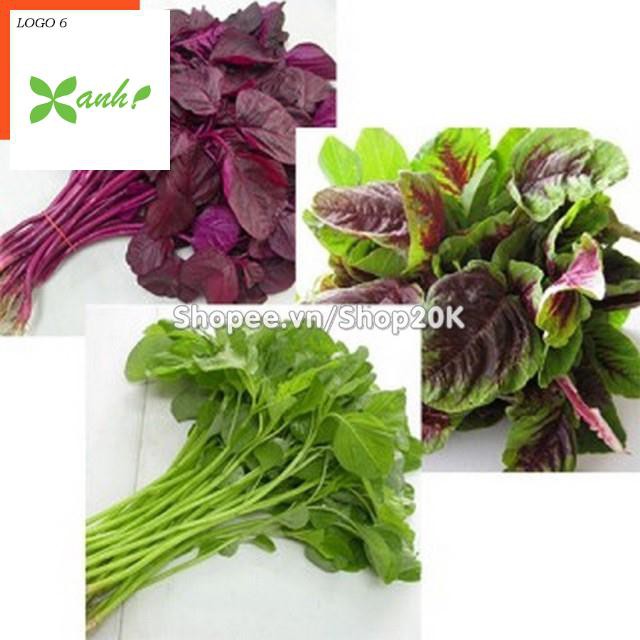 Giống Rau Dền ba màu