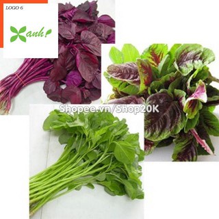 Giống Rau Dền ba màu