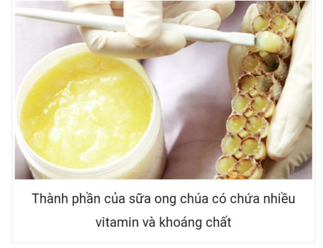 Sữa ong chúa tươi nguyên chất hủ 100gr