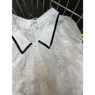 sơ mi tiểu thư bao đỉnh