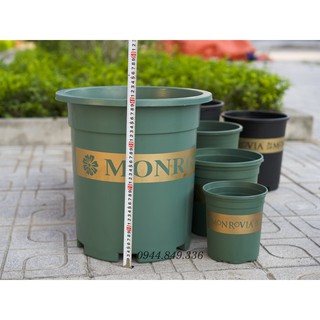 Chậu Monravia VIỆT NAM 7GL
