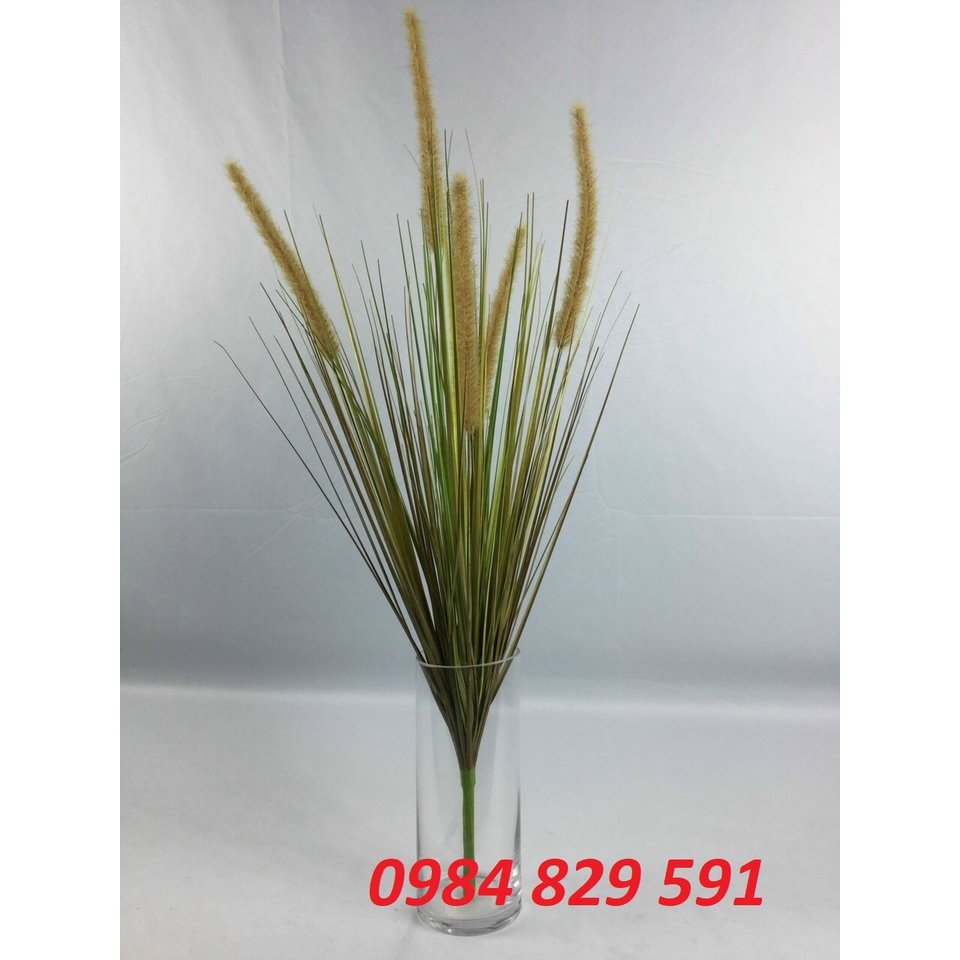 Cành lau giả trang trí 3 bông