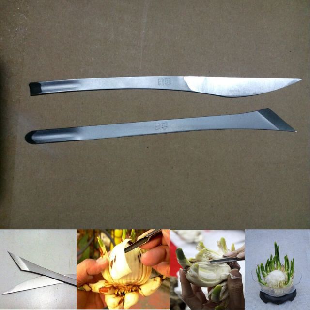Bộ dao gọt hoa thủy tiên sắc bén không gỉ (1 bộ gồm 2 chiếc)