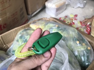 Clicker còi huấn luyện