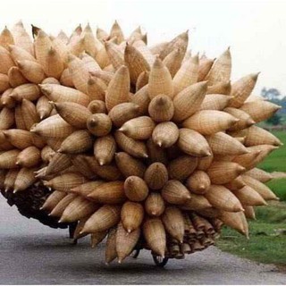 Đèn Đó Tre Trang Trí