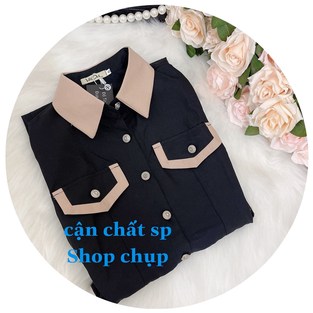 Đầm xòe dạo phố, dự tiệc cổ sơ mi phối màu hàng nút xinh xắn -Thời Trang VADA (VD323) | BigBuy360 - bigbuy360.vn