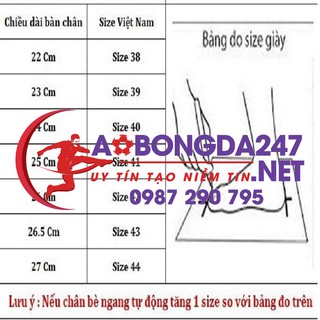 Giày 3 sọc Hàng công ty