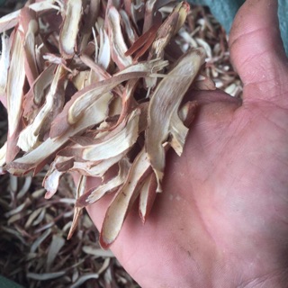 SÂM CAU KHÔ TÚI 500g (loại đẹp )