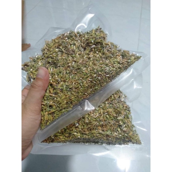 Hạt giống Đu đủ đực 15_20H