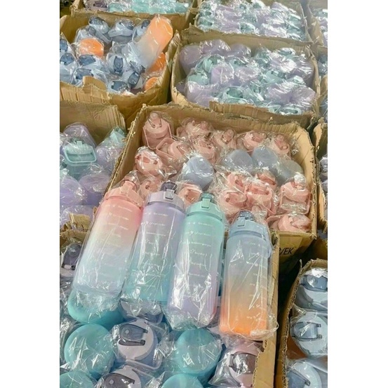 [FREESHIP] Bình Đựng Nước 2 Lít Dễ Thương Có Vạch Báo Giờ Uống Nước