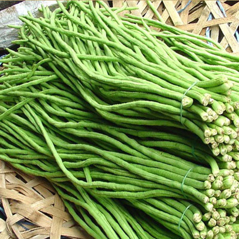 Hạt Giống Đậu Đũa F1 Loại Siêu Dễ Trồng, Dễ Thu Hoạch ( gói 500gram, 1kg)