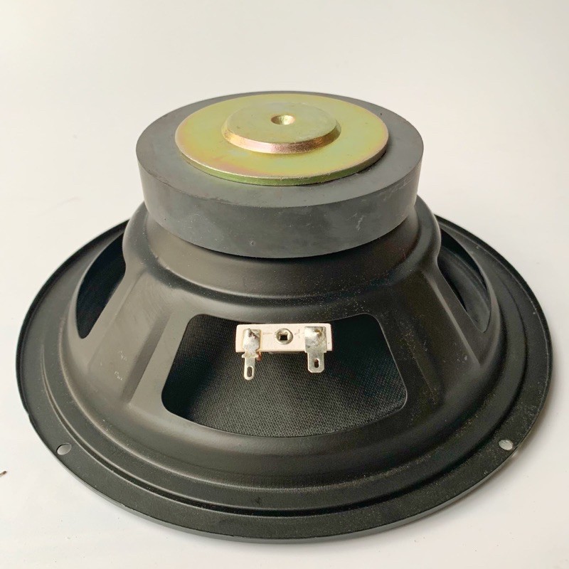 LOA BASS 20CM VIỀN CAO SU COIL 25.5MM NAM CHÂM 100MM