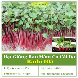 Hạt Giống Rau Mầm Củ Cải Đỏ Rado 105 Dễ Trồng Và Chăm Sóc, Năng Suất Cao, Chất Lượng Ăn Ngon [30 gram]