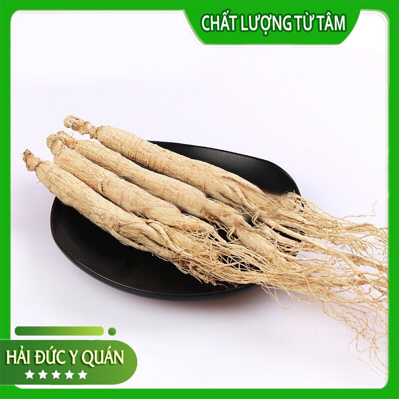 Nhân Sâm Cát Lâm  Size To, Đẹp, Thơm