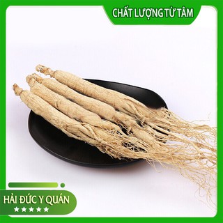 Nhân Sâm Cát Lâm [ Bạch Sâm ] Size To, Đẹp, Thơm