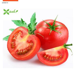 Hạt giống Cà chua F1 (MV)