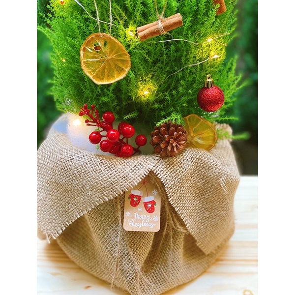 Thiệp chúc mừng Giáng sinh gift tag nhiều mẫu cực xinh