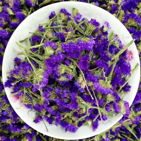 hoa lưu ly sấy khô đẹp 100 gram _ trathaomocsi