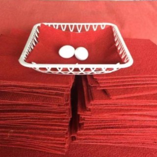 Combo 10 Trứng chim bồ câu giả