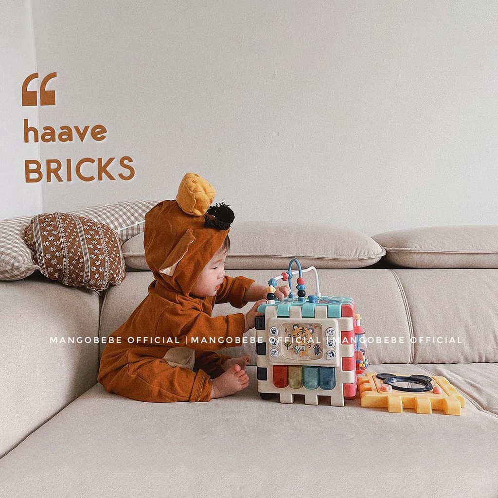 Độc quyền - Khối Rubik 6in1 Hổ phiên bản 2022 Haave Bricks