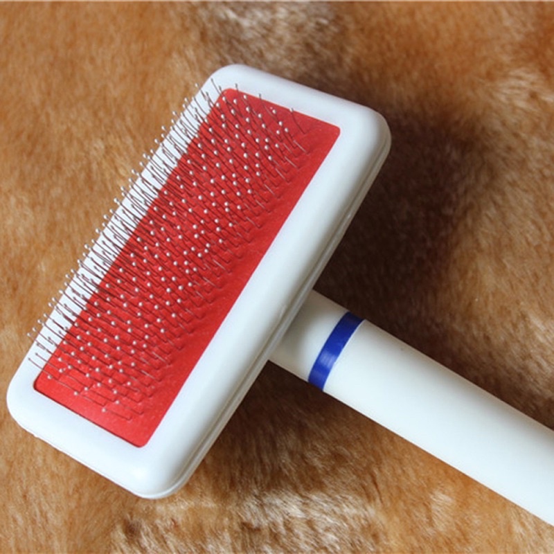 Lược chải lông cho chó mèo, pet