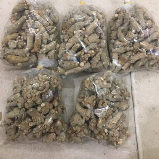 CỦ TAM THẤT BẮC KHÔ(LOẠI 70 CỦ)