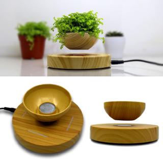 Chậu cây cảnh dạng nam châm độc đáo phong cách