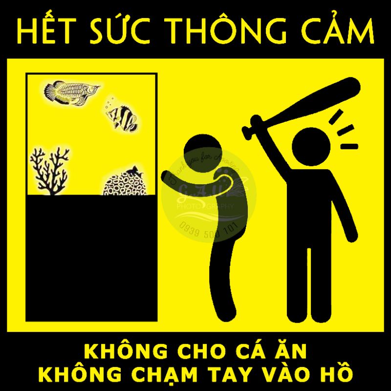 Sticker thế hệ mới - cắt laser - có sẵn keo