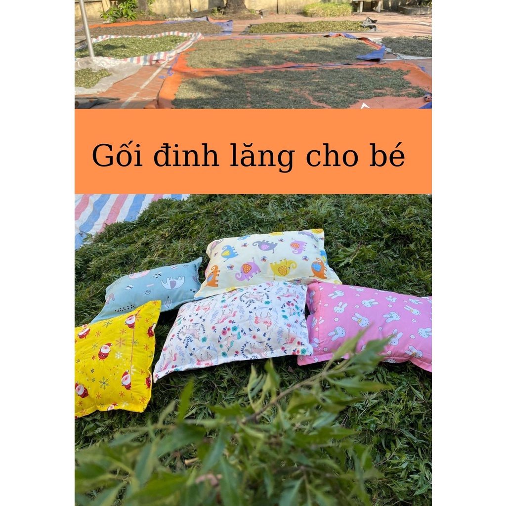 Gối đinh lăng  cho bé từ 3-5 tuổi