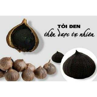 Máy làm tỏi đen SUNCA SF_G100